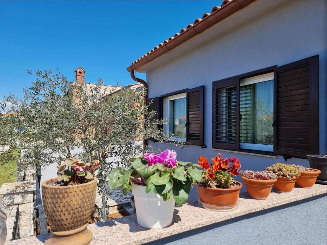 Frida Apartment Pula Exterior photo